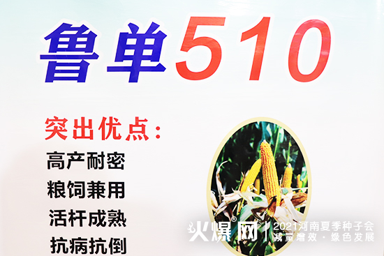 ۽չ(hu)Ј(chng)2021ļNӕ(hu)AڴWR