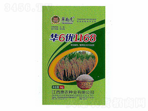 A6(yu)1168-Aϻ-rNI(y)