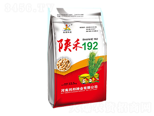 ꃺ192СN-NI(y) 